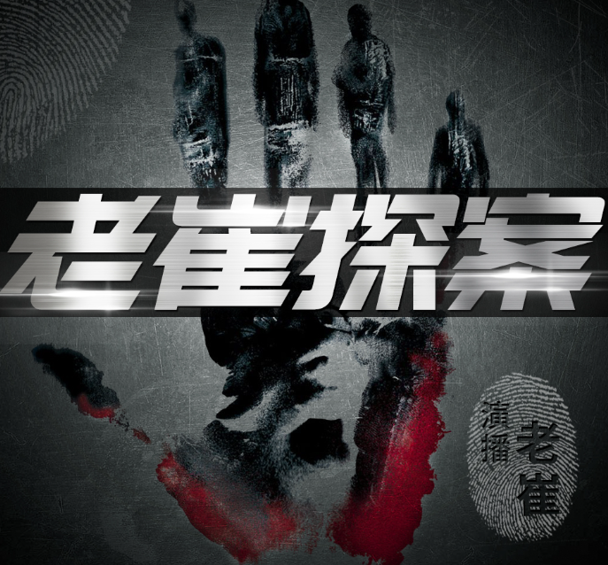 《中国大案纪实》有声类 大案普法 刑侦破案 白宝山张君魏振海杨德海等[m4a]-影音屋