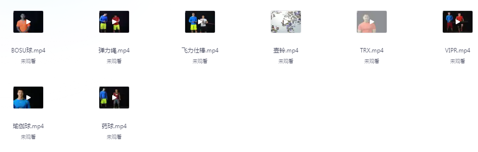 图片[2]-《赛普健身专业视频》超干货专业系统健身知识 价值19800元[mp4]-影音屋