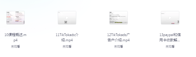 图片[2]-《tiktok投流实操课》掌握tiktok投流底层逻辑+独家TK投流玩法[mp4]-影音屋