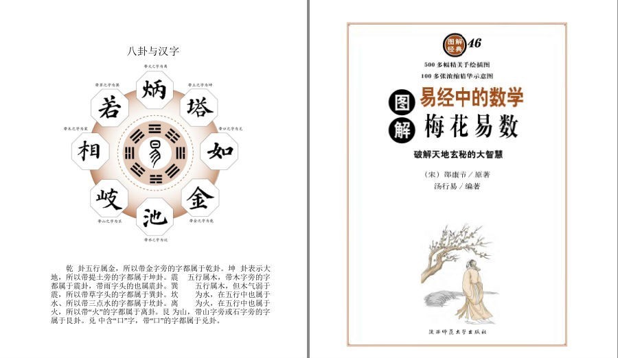 图片[3]-《图解梅花易数》以现代手法诠释易学预测奇书[pdf]-影音屋