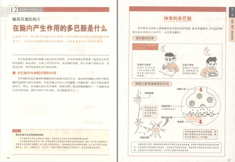 图片[5]-《完全图解不可思议的人体:深度解读人体密码》了解你自己的身体[pdf]-影音屋
