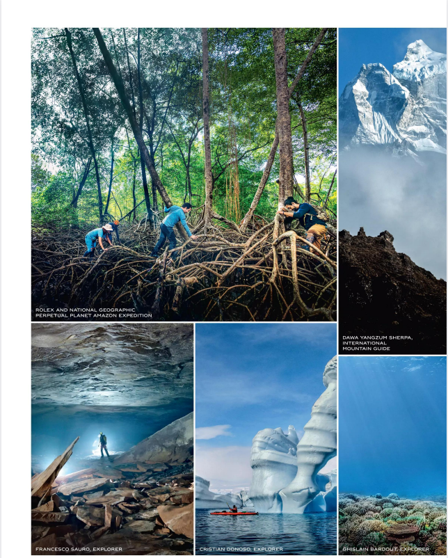 图片[4]-2025《新科学家》国际版等国外高清原版杂志合集[PDF]-影音屋