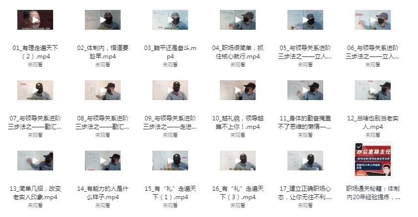 图片[2]-《职场通关秘籍：体制内20年经验提炼》17堂课 生存法则与进阶智慧 体制内经验课[mp4]-影音屋