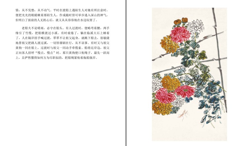 图片[10]-《沈从文典藏文集》套装3册 透视人性 都市之外的桃源精神世界[pdf]-影音屋