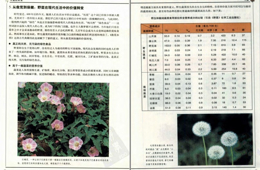 图片[4]-《中国的野菜：319种中国野菜图鉴》中国常见野菜图谱[pdf]-影音屋