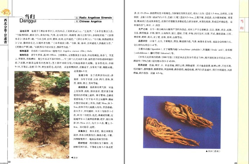图片[3]-《道地药材图典·三北卷 》药材在全国各地分布及其药用功效[pdf]-影音屋