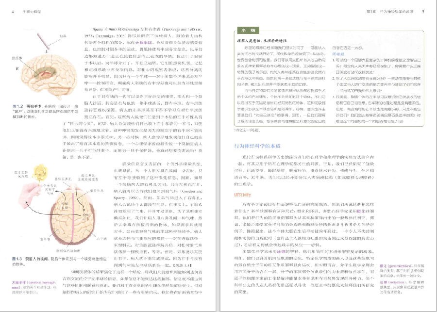 图片[3]-《生理心理学（全彩第九版）》走进行为神经科学的世界[PDF]-影音屋