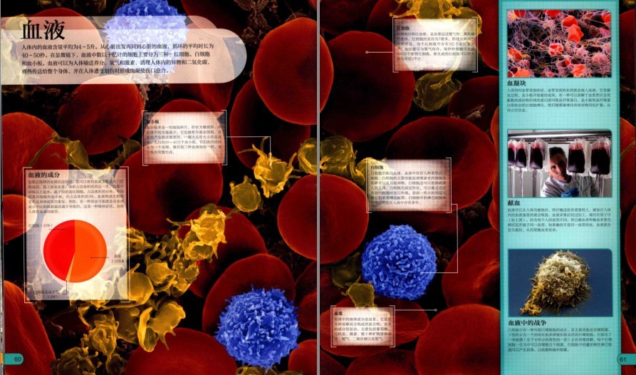 图片[9]-《DK微观世界大百科》以微观视角总览世间万物[pdf]-影音屋