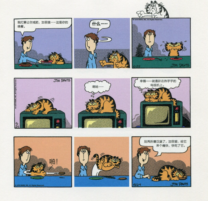 图片[2]-《嗨，我叫加菲猫-40周年典藏版》29册全 超清[pdf]-影音屋