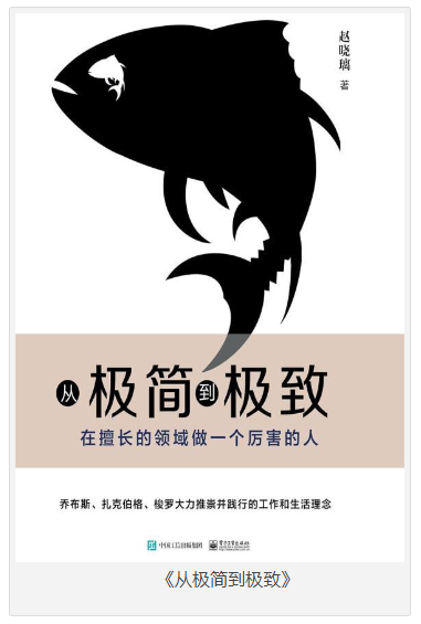 《从极简到极致》在擅长的领域做一个厉害的人[epub]-影音屋