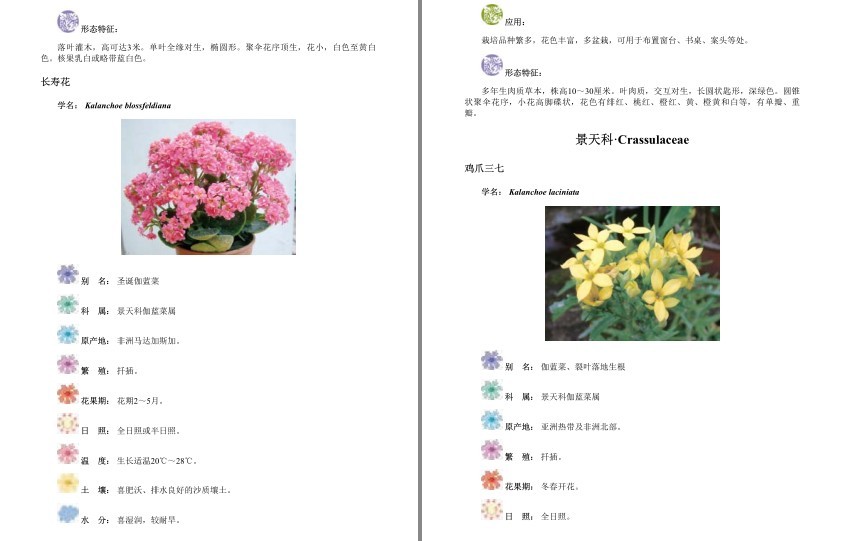 图片[7]-《经典观赏花卉图鉴:1200种花卉品鉴金典》科普各种花卉[epub]-影音屋