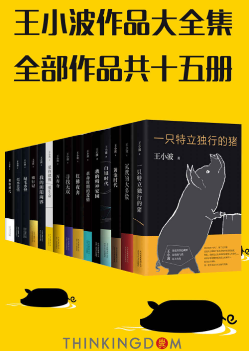 《王小波真正大全集》15册 读过这套 才算完整读过王小波 [pdf]-影音屋