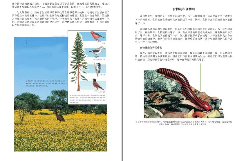 图片[2]-《动物百科全书》彩图精装 步入动物的世界[epub]-影音屋