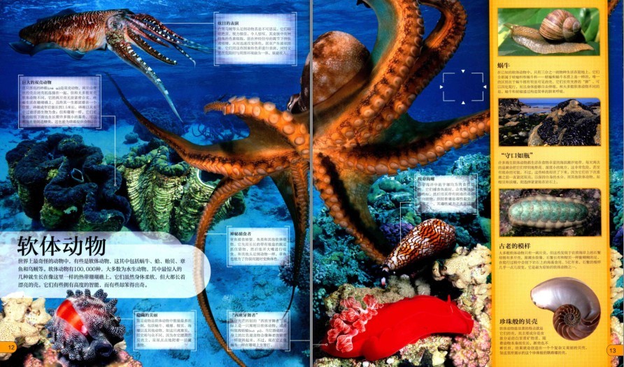 图片[4]-《DK微观世界大百科》以微观视角总览世间万物[pdf]-影音屋