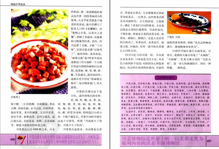 图片[11]-《家常菜最拿手》+《图说中华饮食》200幅精美插图 烹饪技法[pdf]-影音屋