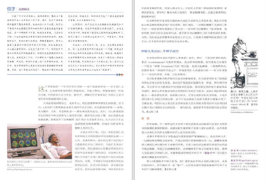 图片[2]-《生理心理学（全彩第九版）》走进行为神经科学的世界[PDF]-影音屋