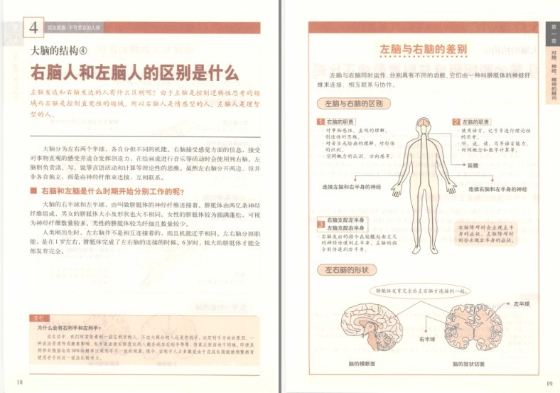图片[3]-《完全图解不可思议的人体:深度解读人体密码》了解你自己的身体[pdf]-影音屋