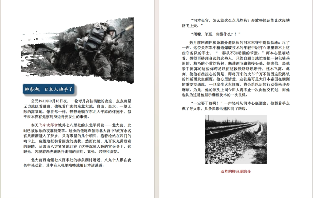 图片[2]-《国殇：国民党正面战场抗战纪实》全10册插图珍藏版[pdf]-影音屋