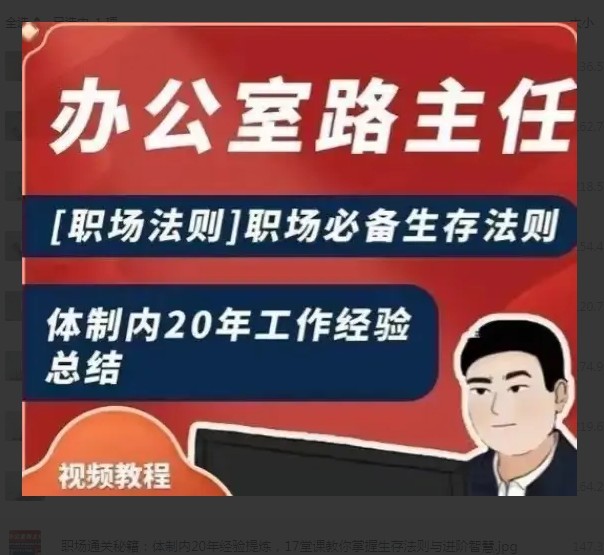 《职场通关秘籍：体制内20年经验提炼》17堂课 生存法则与进阶智慧 体制内经验课[mp4]-影音屋