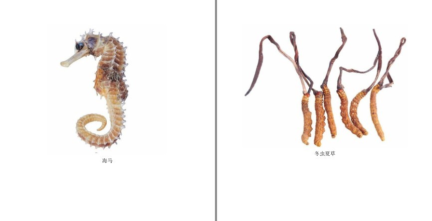 图片[8]-《小中药 大养生》家中有本草 健康无烦恼[pdf]-影音屋