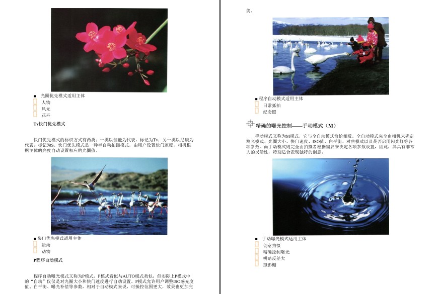 图片[8]-《数码摄影实拍技法宝典》基础 构图 色彩 用光技巧 拍出大片[pdf]-影音屋