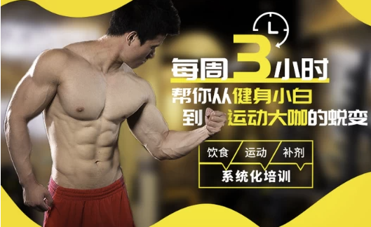 扔掉无效健身！每周3小时，拥有完美身材[MP4][3.4GB]-影音屋