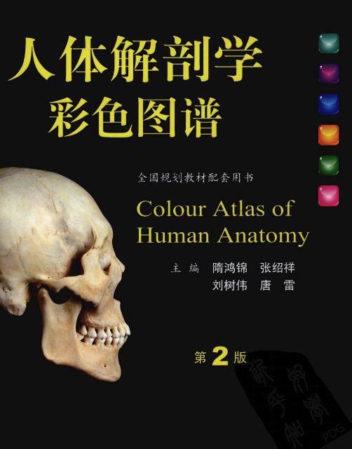 《人体解剖学彩色图谱》精选581幅标本 人体解剖结构[pdf]-影音屋