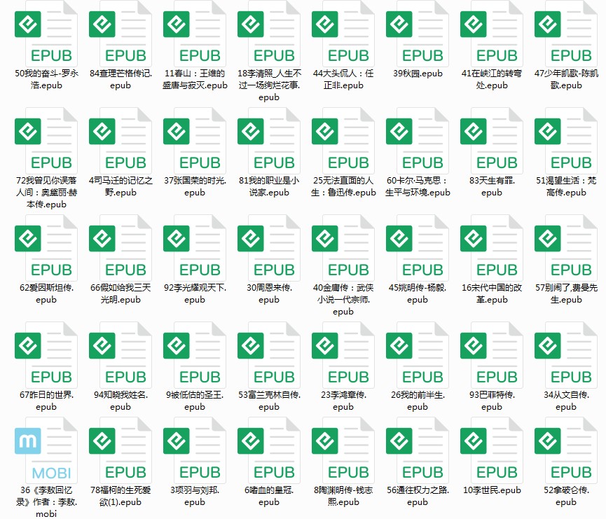 《100部人物传记合集 让我们站在巨人的肩膀上》[pdf]-影音屋