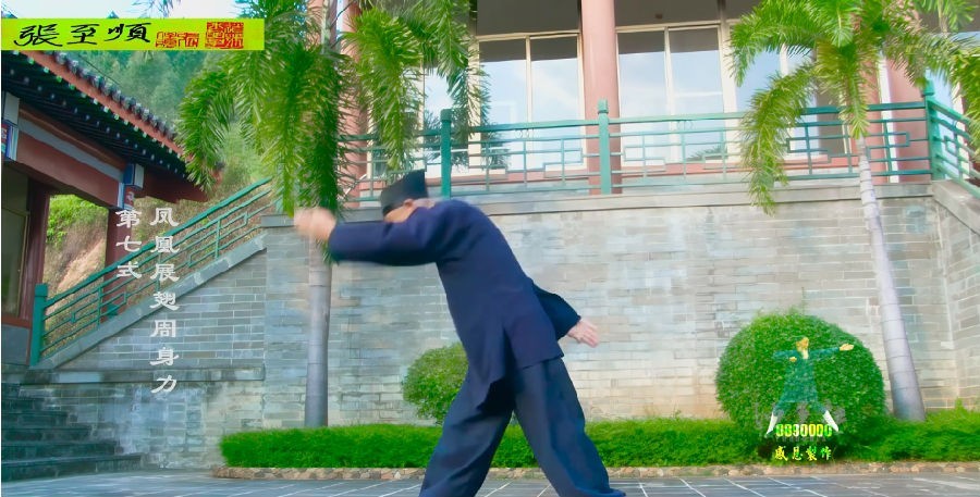 图片[5]-《张至顺道爷亲传八部金刚功》高清版 长寿功法 跟着视频学锻炼身体 稀缺资源[mp4]-影音屋