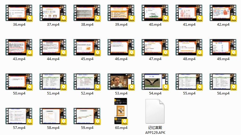 图片[2]-《最强大脑 王峰 记忆课程》60课 记忆力提升高效学习课[mp4]-影音屋