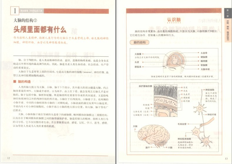 图片[2]-《完全图解不可思议的人体:深度解读人体密码》了解你自己的身体[pdf]-影音屋