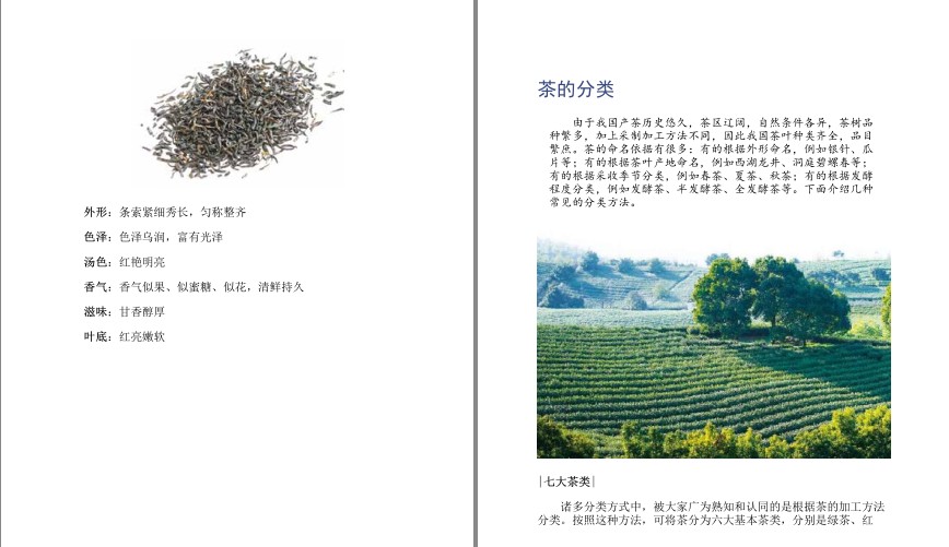 图片[6]-《茶道全书》识茶品茶品生活 67种名茶详解 过年必备知识[pdf]-影音屋