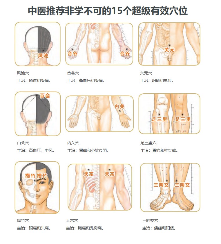 图片[2]-《经络穴位按摩速查全书》 权威图解中医经穴第一书[EPUB]-影音屋