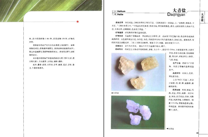 图片[7]-《道地药材图典·三北卷 》药材在全国各地分布及其药用功效[pdf]-影音屋