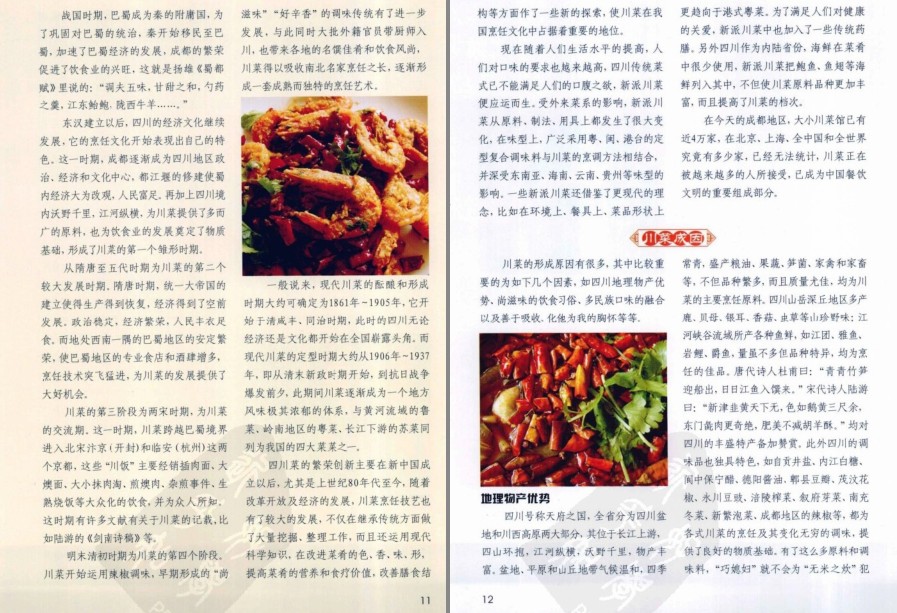 图片[3]-《经典川菜教室》彩图版 一菜一格 百菜百味 500道川菜美食[pdf]-影音屋