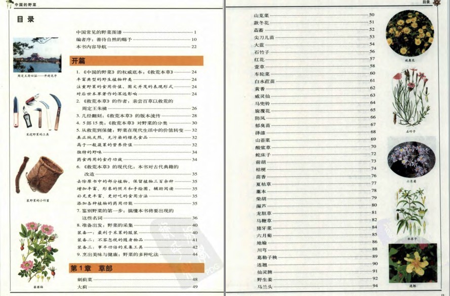 图片[2]-《中国的野菜：319种中国野菜图鉴》中国常见野菜图谱[pdf]-影音屋