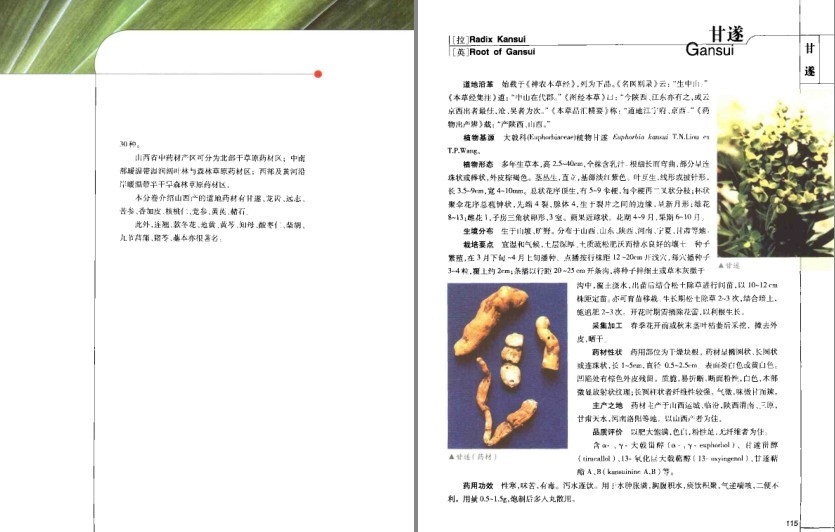 图片[11]-《道地药材图典·三北卷 》药材在全国各地分布及其药用功效[pdf]-影音屋