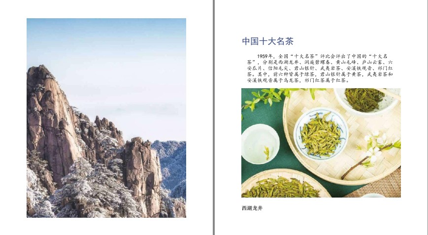 图片[5]-《茶道全书》识茶品茶品生活 67种名茶详解 过年必备知识[pdf]-影音屋