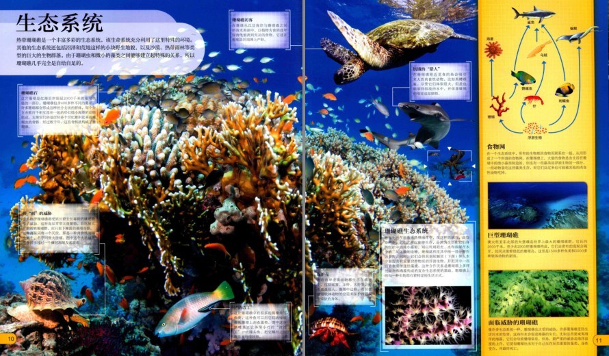 图片[3]-《DK微观世界大百科》以微观视角总览世间万物[pdf]-影音屋