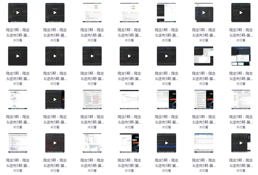 图片[2]-《爬虫开发+APP逆向超级大神班》05期[mp4]-影音屋