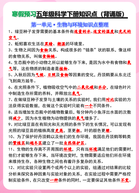 图片[4]-《2025新课改小学全科资料更新包》[mp4]-影音屋