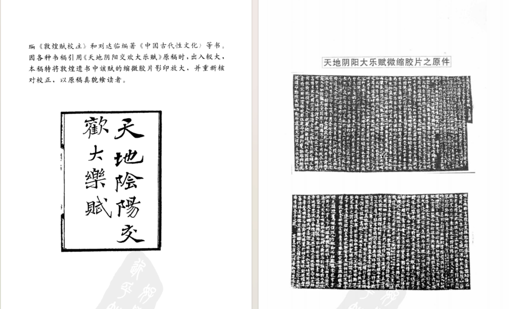 敦煌遗书中的《天地阴阳交欢大乐赋》原图扫描版[pdf]-影音屋
