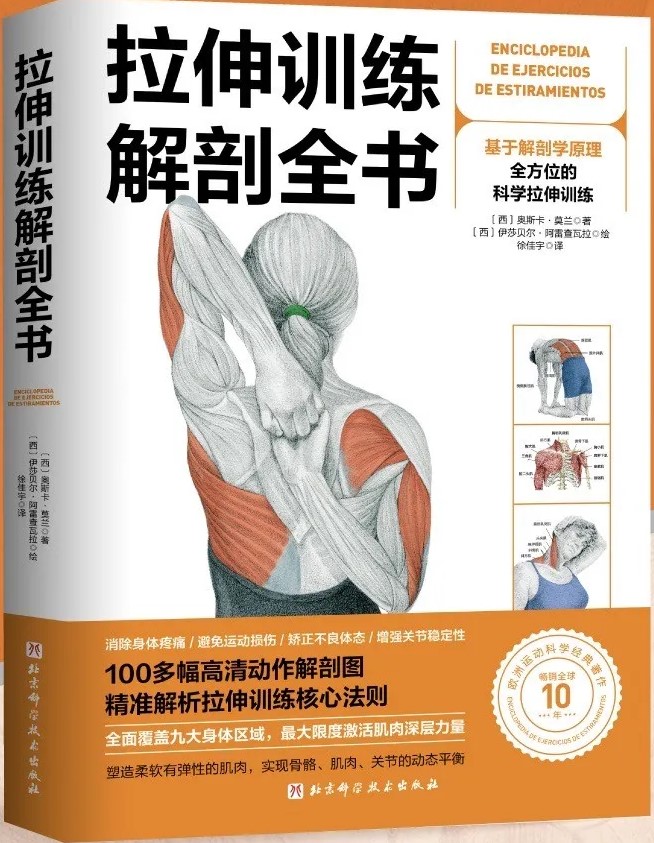 《拉伸训练解剖全书》100多幅高清动作解剖图[pdf]-影音屋