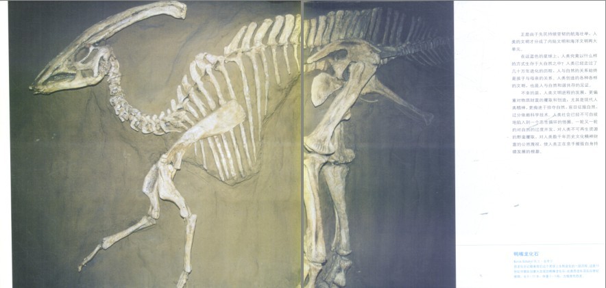 图片[6]-《世界国家地理精华 透过镜头书系》图说天下 系列合集[pdf]-影音屋