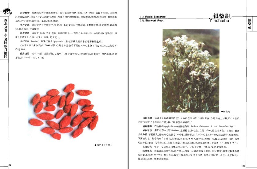图片[6]-《道地药材图典·三北卷 》药材在全国各地分布及其药用功效[pdf]-影音屋