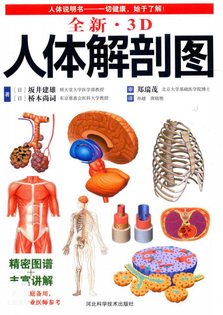 《全新3D人体解剖图》严重推荐 了解熟悉人体结构 一切健康 始于了解[pdf]-影音屋