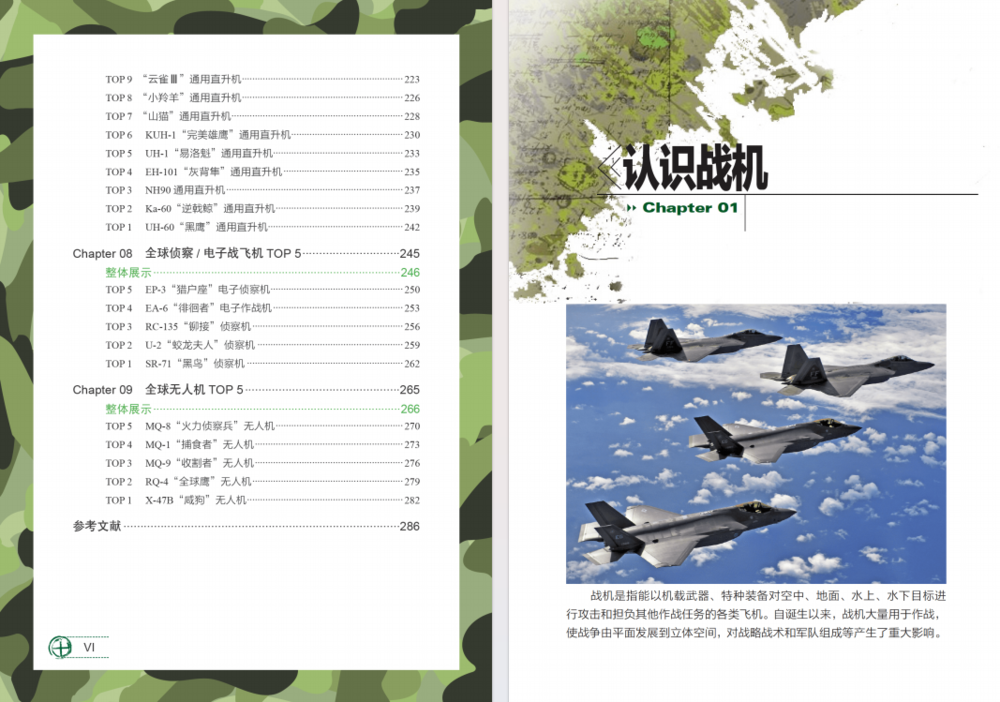 图片[4]-《全球战机TOP精选》（珍藏版）[PDF]-影音屋