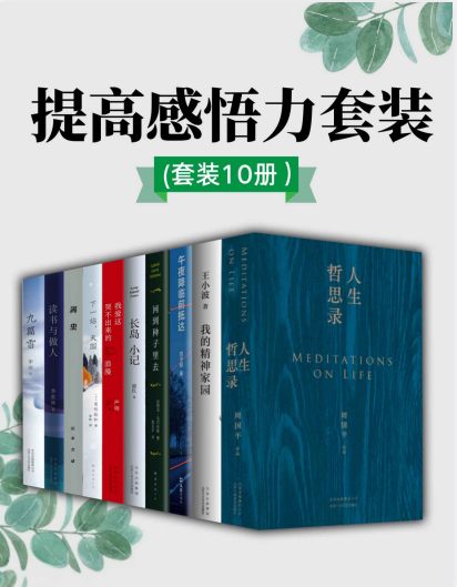 《提高感悟力套装》套装10册 停下来思考 为感悟生活抛砖引玉[pdf]-影音屋