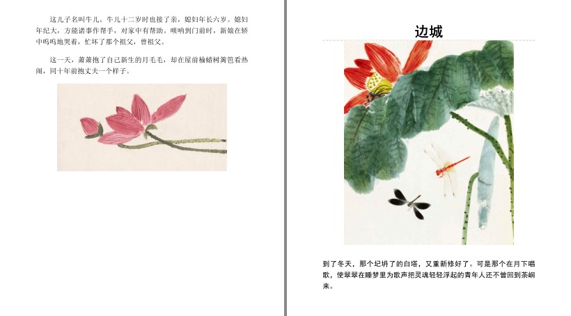 图片[9]-《沈从文典藏文集》套装3册 透视人性 都市之外的桃源精神世界[pdf]-影音屋