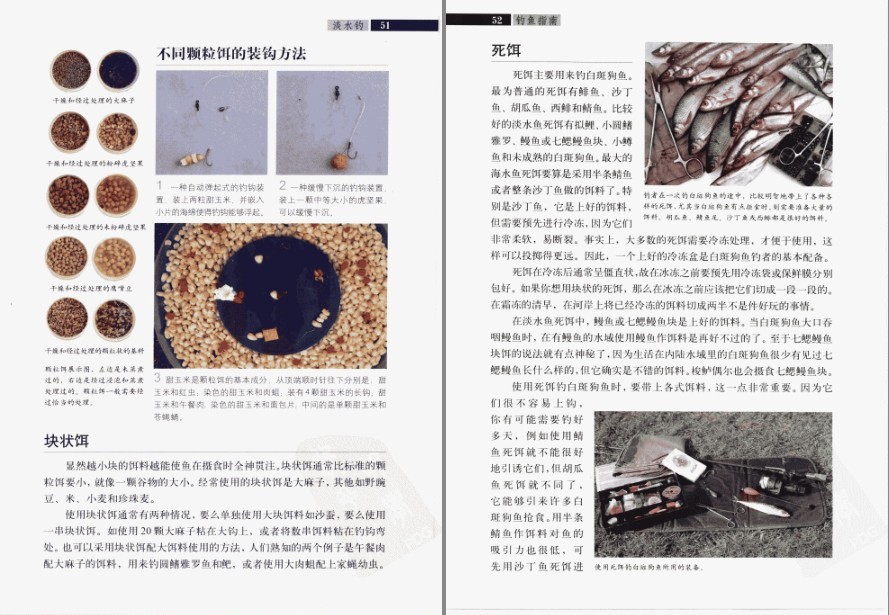 图片[5]-《钓鱼指南》几十年垂钓经验 世界前沿的钓鱼方法[pdf]-影音屋